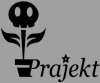 Prajekt Skis