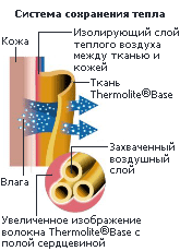 Thermolite Base