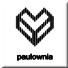 paulownia woodcore