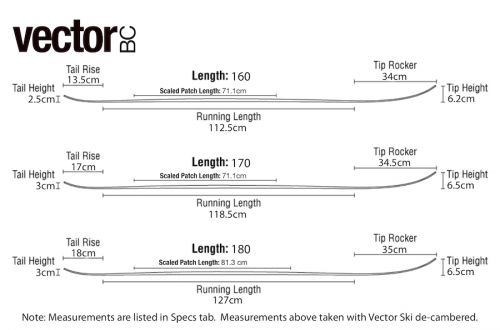 vector bc profile