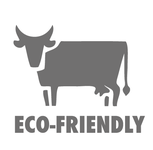 eco friendly