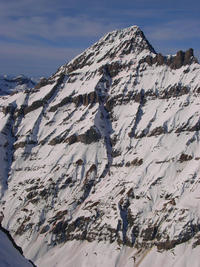 Rinderhorn