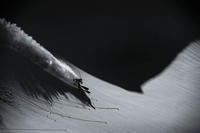 Zürs am Arlberg, Austria (Photo: Mattias Fredriksson)