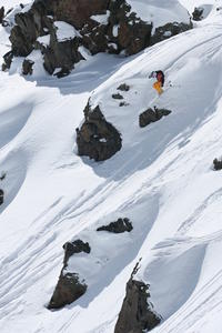 Виталий Стегно