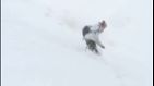 Funny Dakine Dombai Camp Funny Dakine Dombai Camp