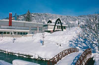 Фабрика горных лыж Head