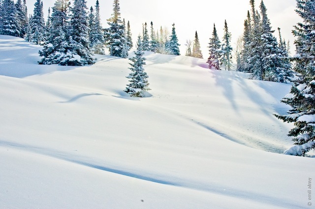 Mamay First Snow 2016