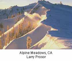 Alpine Meadows