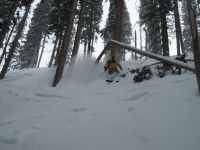 McConkey bowl